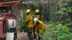 US clears forests riddled with dead trees, undergrowth to lower wildfire risks