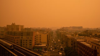 Wildfires, heat waves and blackouts exposed the green agenda’s dangerous flaws