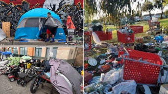 City council meeting in well-to-do California town erupts into chaos over homeless housing