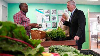 USDA sending $320 million boost to agricultural producers, food businesses to improve markets, create jobs