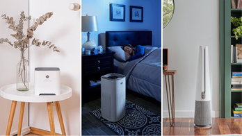 Best air purifiers to buy for wildfire smoke and more, according to experts