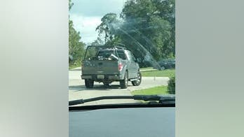 Florida driver caught on video dragging dog nearly half a mile is identified