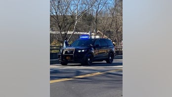 3 young Ohio brothers shot and killed, mother wounded: sheriff's office