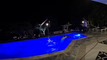 Florida wildlife officials nab 10-foot croc from homeowner’s pool