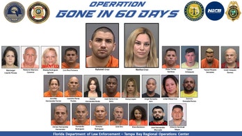 Florida suspects allegedly stole luxury vehicles, fabricated VINs and falsified insurance: police