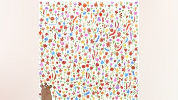 Brain teaser: Can you spot the bow tie hidden in the flowers?