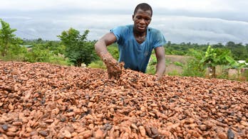 Researchers use AI to predict crops in Africa to help address food crisis