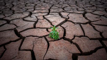 German parliamentary delegation cancels visit to Spain's drought-hit fruit farms