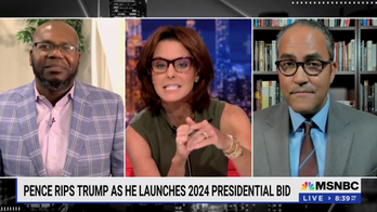 MSNBC host Stephanie Ruhle interrupts former congressman in inflation battle: 'Hold on, please'