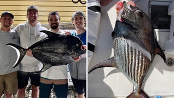 North Carolina anglers go swordfishing, instead catch rare species: 'Prehistoric, almost'