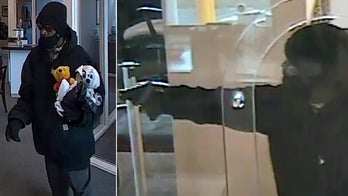 FBI offering reward for Chicago armed bank robber known as 'Stuffed Bear Bandit'