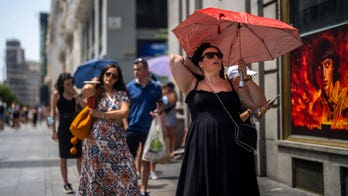 Record-breaking heatwave, drought plague Spain, threatening ecosystems and agriculture