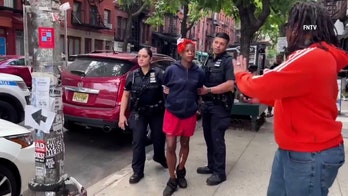 New York woman seen in park rampage video back on the streets as witnesses describe mayhem