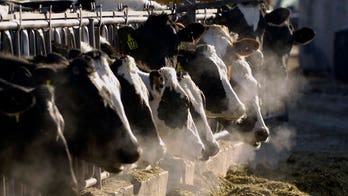 California man sentenced for investment scheme, claimed he could convert cow manure into green energy