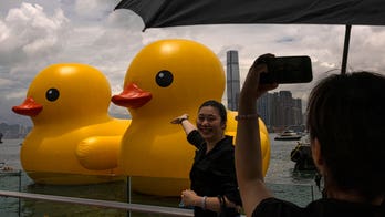 Giant inflatable ducks return to Hong Kong after 10 years as pop-art project