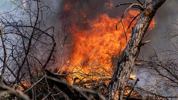 Winds exacerbate German wildfire, ammo-rich military base consumed