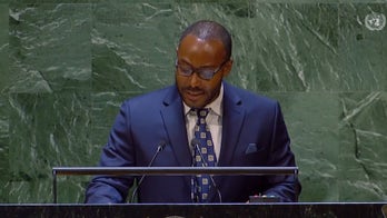 Biden appointee calls on UN to create reparations tribunal: 'What justice looks like in the 21st century'
