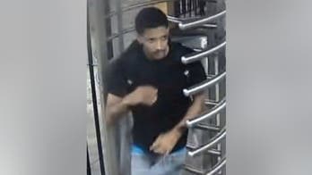 New York City suspect put 24-year-old woman in headlock, robbed her: police