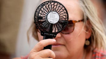 ERCOT urges Texans to roll back power usage as heatwave sears Gulf Coast