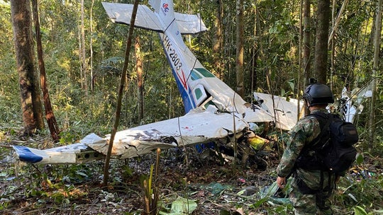 Search for missing children after jungle plane crash intensifies thanks to new evidence