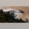 Canada celebrates annual Clean Air Day, as fires continue to ravage northeastern US