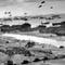 On this day in history, June 6, 1944, US and Allies invade Normandy in greatest military invasion in history
