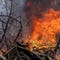 Winds exacerbate German wildfire, ammo-rich military base consumed
