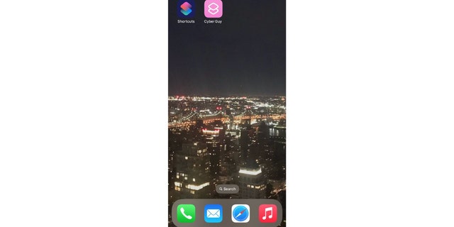 Website to Home screen