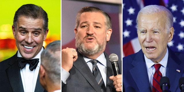 Ted Cruz, Hunter Biden, Joe Biden