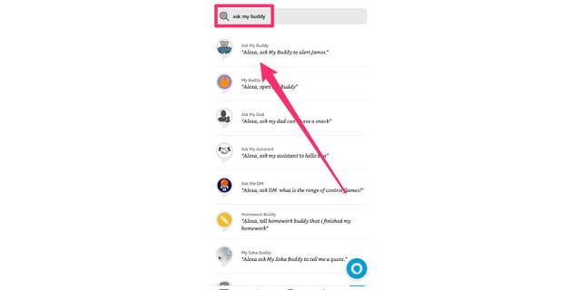 ask my buddy feature on alexa