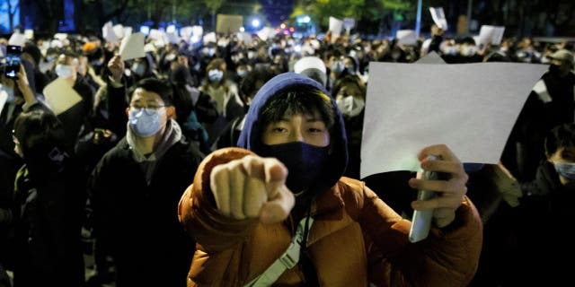 White Paper protests