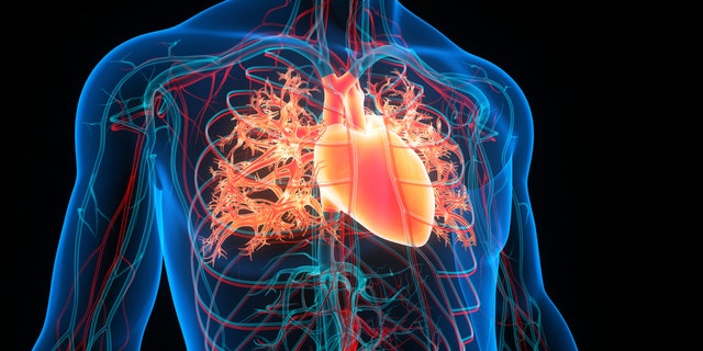 3D heart imaging