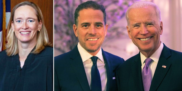 Maryellen Noreika, Hunter Biden, Joe Biden