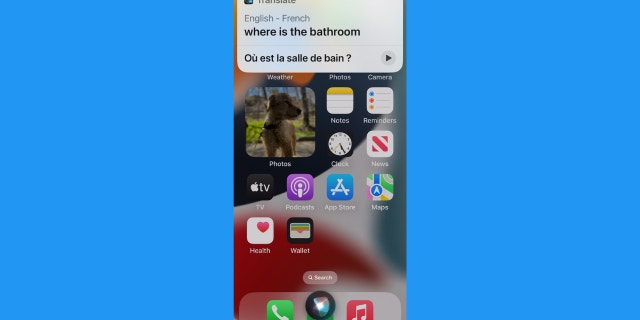 İngilizceden Fransızcaya çeviren Siri'nin ekran görüntüsü
