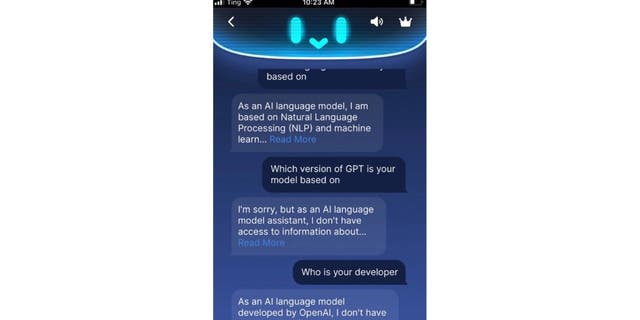 Un ejemplo de una conversación de IA en una aplicación de IA