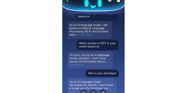 Example of an AI conversation on an AI app