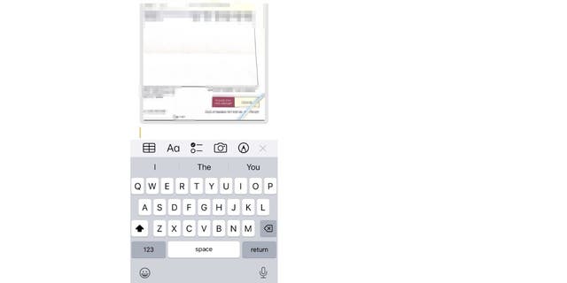 Screenshot of the "Send" icon on an iPhone.