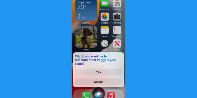 Bir telefon kişisini tanımlayan Siri'nin ekran görüntüsü