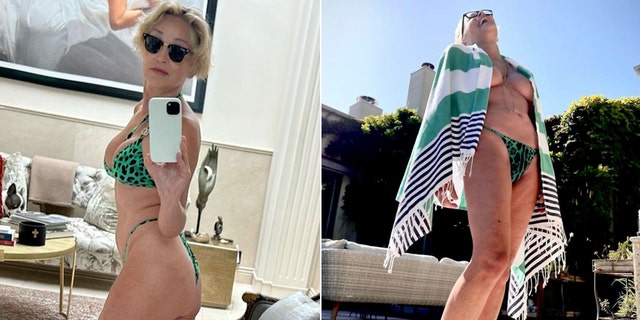 Sharon Stone bikini pictures split