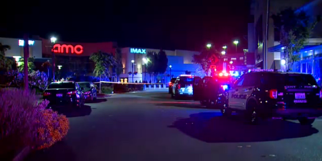 AMC movie theater shooting in Washington