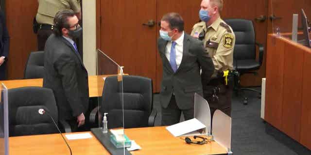 Former Minneapolis Police Officer Derek Chauvin