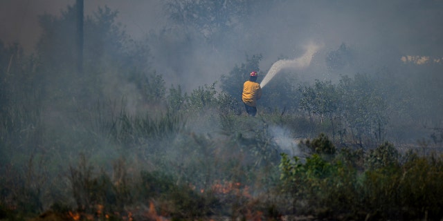 incendios forestales canadienses