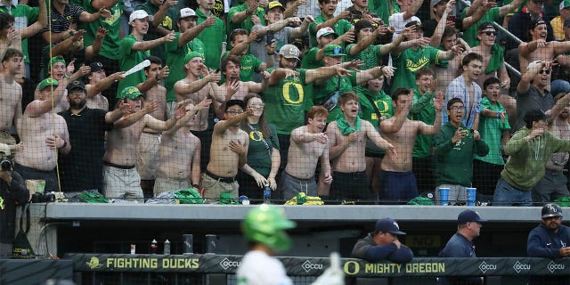 Oregon fans in the Super Regional