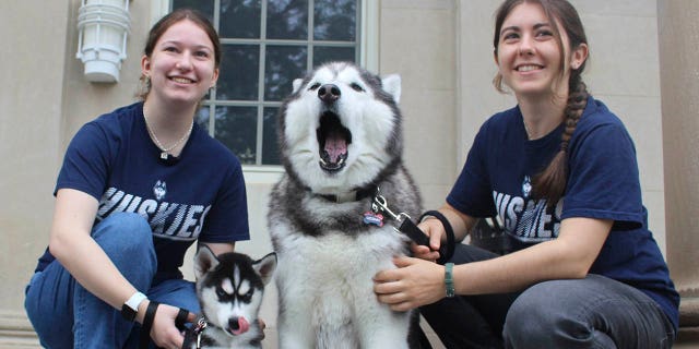 Estudiantes de UConn con la nueva mascota de la escuela