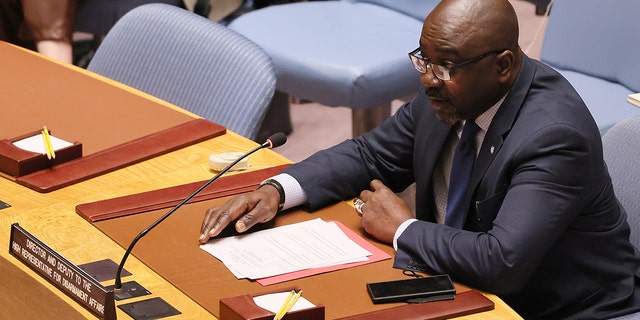 Adedeji Ebo speaks during a UN Security Council meeting