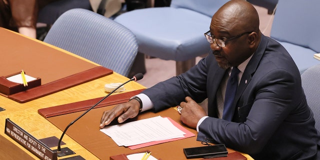 Adedeji Ebo speaks during a UN Security Council meeting