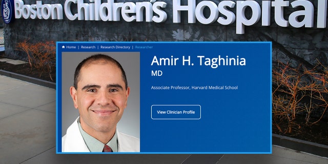 Dr. Amir Taghinia
