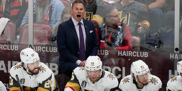 Bruce Cassidy coaches