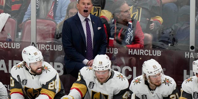 Bruce Cassidy coaches