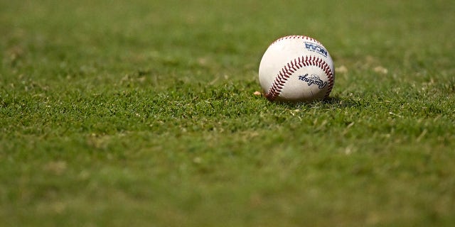 general view of a baseball